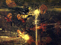 Fire Detail
